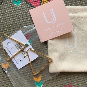 Uncommon James Triangle earrings